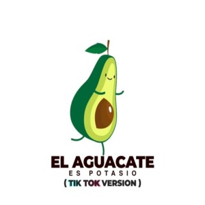 收聽DJ Tik Tok的El aguacate es potasio歌詞歌曲