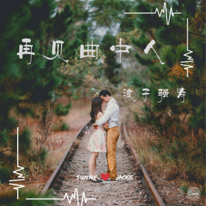 浪子强涛的专辑再见曲中人