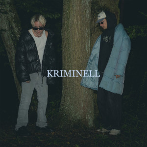 Listen to Kriminell song with lyrics from Telo