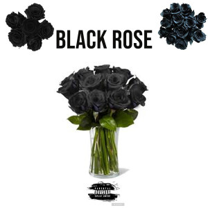 Album Black Rose (Explicit) from ARASMUS