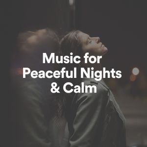 Album Music for Peaceful Nights & Calm from Ambientalism