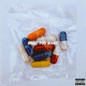 收聽PLVTINUM的What You Want (Explicit)歌詞歌曲