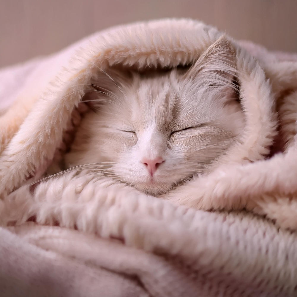 Descanso Tranquilo Con Toque Suave
