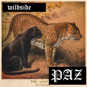 Listen to Wildside song with lyrics from Paz