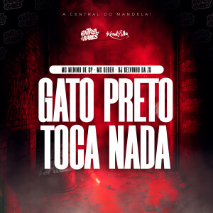 MC MENINO DE SP的專輯Gato Preto Toca Nada