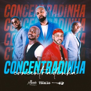 收聽Bonde Do Tigrão的Concentradinha歌詞歌曲