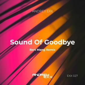 Andrey Exx的專輯Sound Of Goodbye