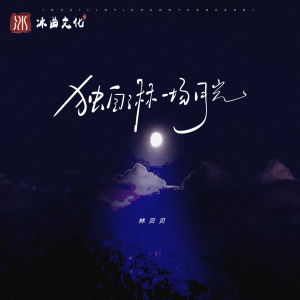 อัลบัม 独自淋一场月光 ศิลปิน 林贝贝