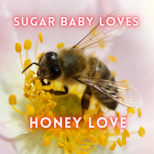 อัลบัม "Honey Love" ศิลปิน John Richardson