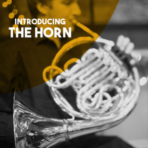 Album Introducing: The Horn oleh Vienna Philharmusica Symphony Orchestra