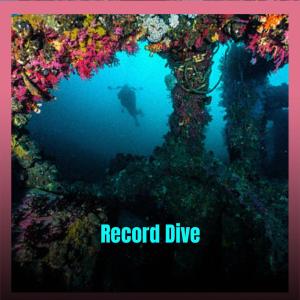 收听Daud Tars的Discover Contraction歌词歌曲