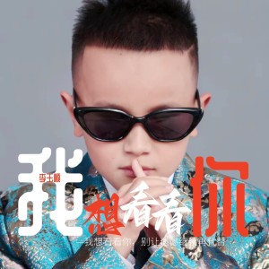 Listen to 我想看看你 (伴奏) song with lyrics from 李玉顺
