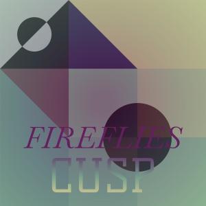 Various的专辑Fireflies Cusp