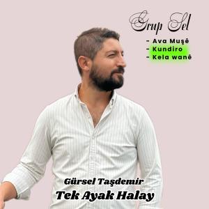 收聽Grup Sel的Tek Ayak Halay Ava muşe Kundiro歌詞歌曲