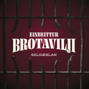 ดาวน์โหลดและฟังเพลง Við elskum að swinga พร้อมเนื้อเพลงจาก Sálgæslan