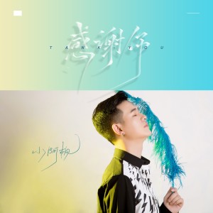 收聽小阿楓的感謝你 (DJ亞明版)歌詞歌曲