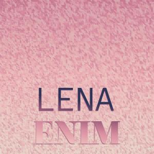 Various的专辑Lena Enim