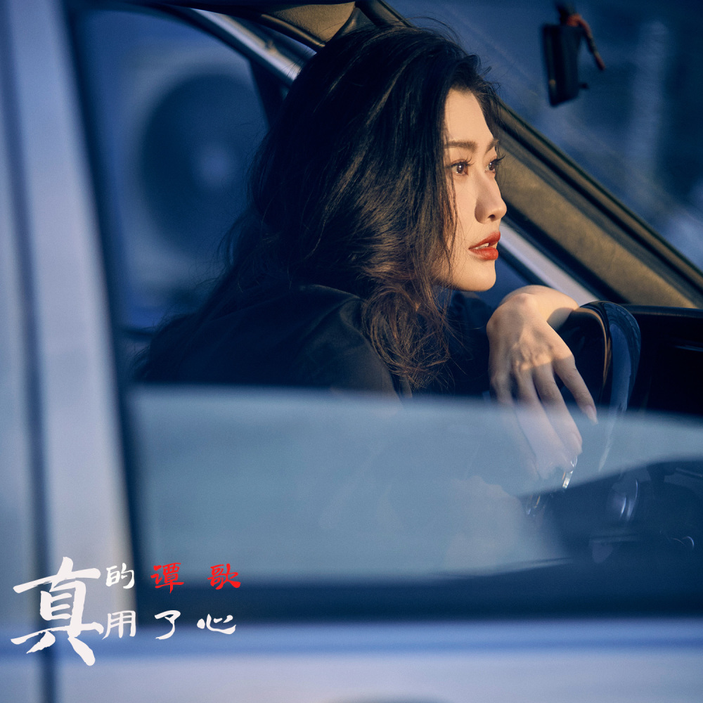 真的用了心 (DJ版伴奏)