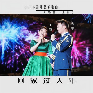 收聽湯非的回家過大年歌詞歌曲