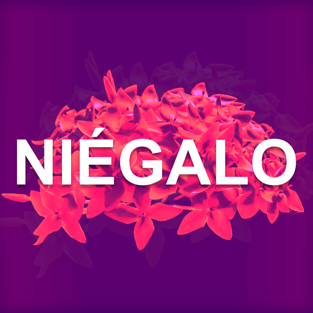 Niégalo