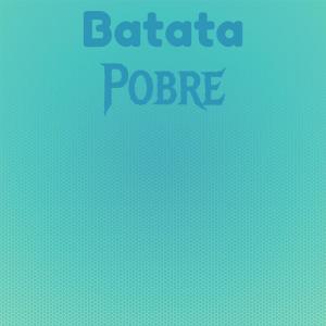 Album Batata Pobre from Various