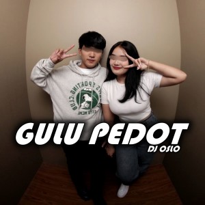 Album Gulu Pedot from DJ OSLO