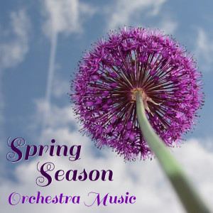 Various Artists的專輯Spring Season Orchestra Music
