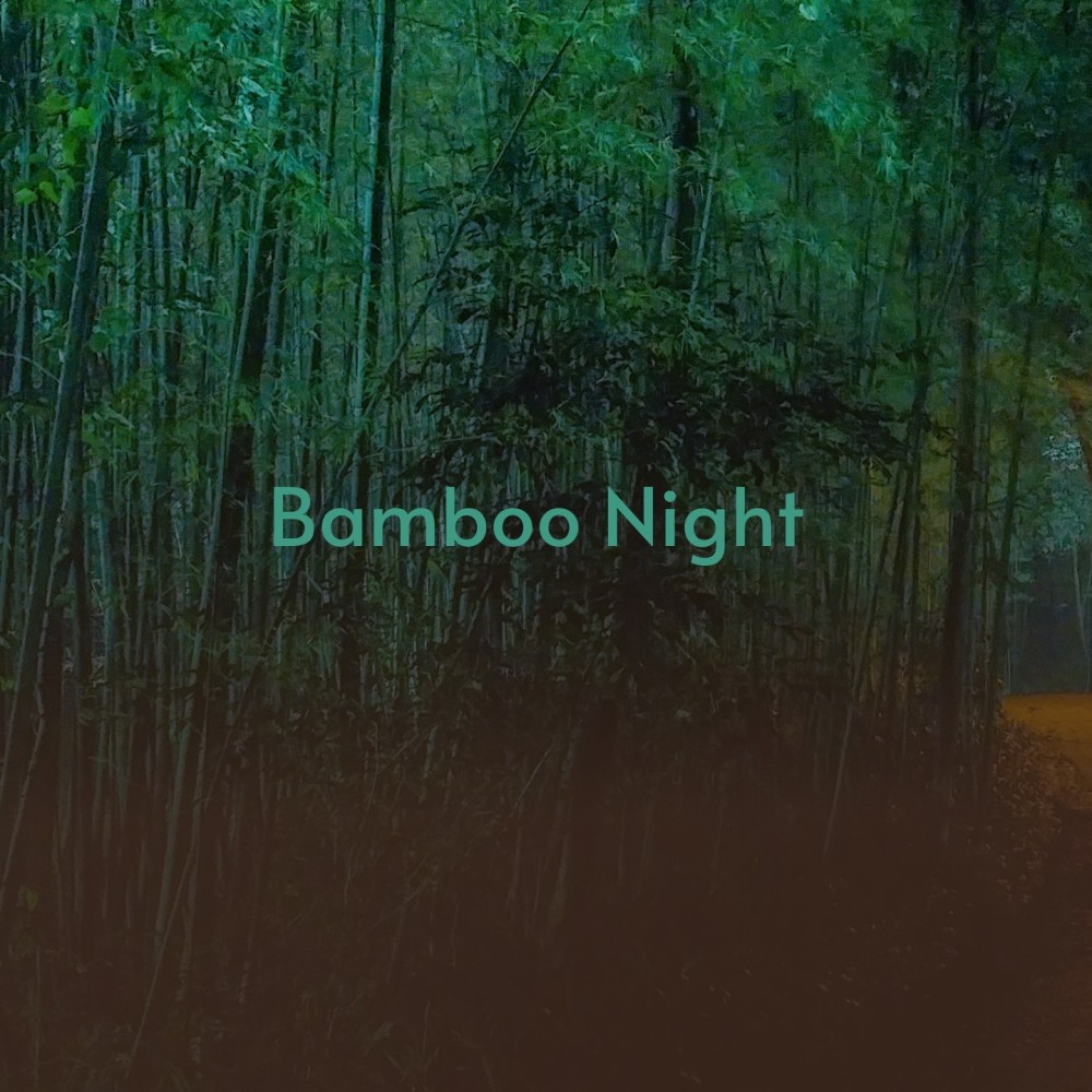 Bamboo Night