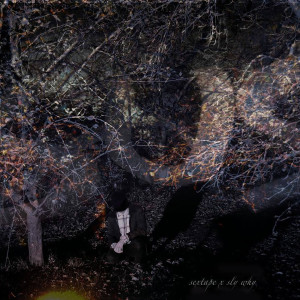 Dengarkan Drive Slow (Explicit) lagu dari sextape dengan lirik