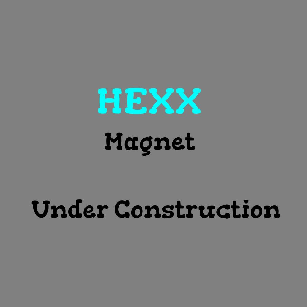 Magnet