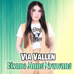 Dengarkan Bisane Mung Nyawang lagu dari Via Vallen dengan lirik