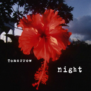 Album Tomorrow Night (Explicit) from Brown Family