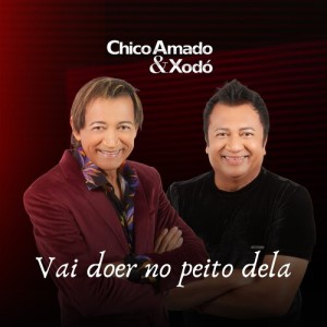 Listen to Vai Doer No Peito Dela song with lyrics from Chico Amado & Xodó