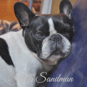 收听Rida Johnson Young的Mr Sandman歌词歌曲