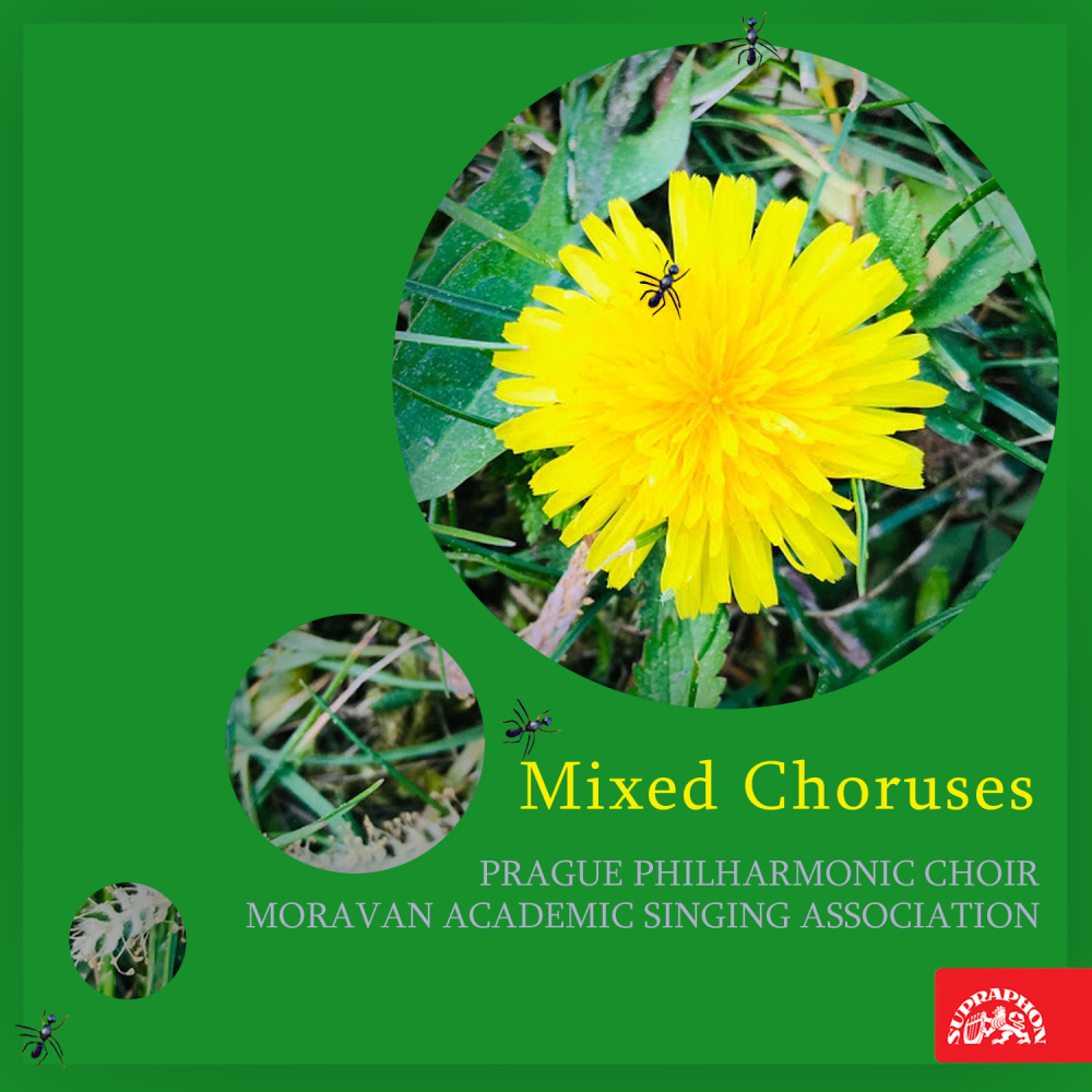 Home. Mixed Chorus