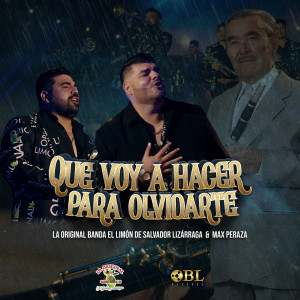 Album Qué Voy A Hacer Para Olvidarte from La Original Banda El Limón de Salvador Lizárraga