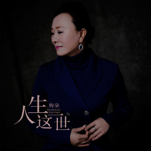 收听梅朵的人生这一世 (伴奏)歌词歌曲