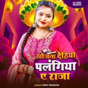 Dipu Diwana的专辑Khoita Palangiya A Raja
