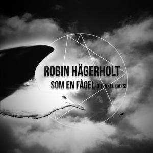 Dengarkan lagu Som en Fågel(feat. Axel Bass) nyanyian Robin Hägerholt dengan lirik