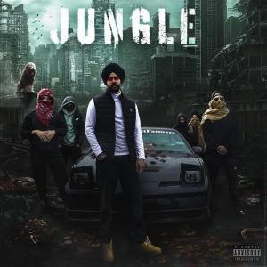 Listen to Jungle (Explicit) song with lyrics from Nseeb
