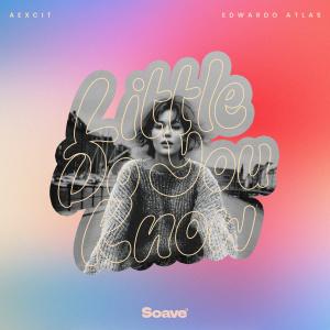 Listen to Little Do You Know song with lyrics from Aexcit