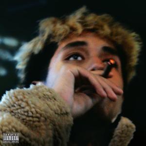Listen to Wishes (Outro) (Explicit) song with lyrics from Briz
