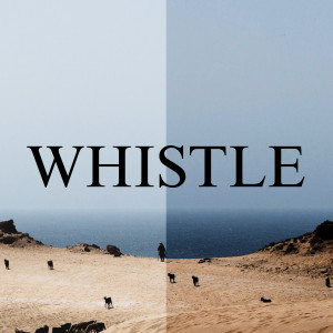 收听Aarya Says的Whistle歌词歌曲