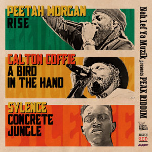 ดาวน์โหลดและฟังเพลง Concrete Jungle พร้อมเนื้อเพลงจาก Sylence