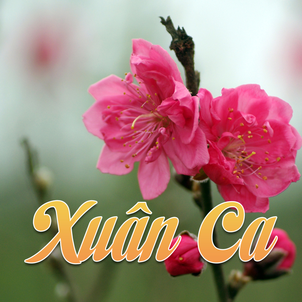 Ca khúc mừng xuân