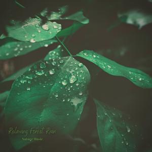 Nature Music的專輯Relaxing Forest Rain