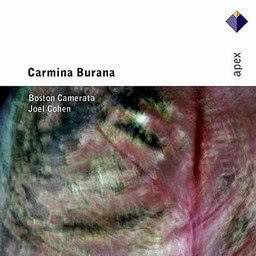 อัลบัม Carmina Burana [c1230]  -  Apex ศิลปิน Boston Camerata