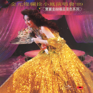 收聽徐小鳳的風的季節 (Live in Hong Kong / 1989)歌詞歌曲