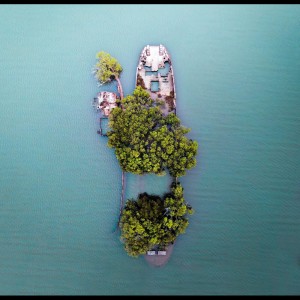收听Relaxing Music的Magpie歌词歌曲