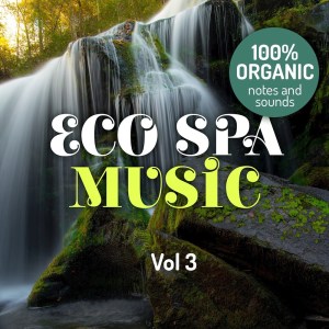 Various Artists的专辑ECO SPA MUSIC, Vol. 3